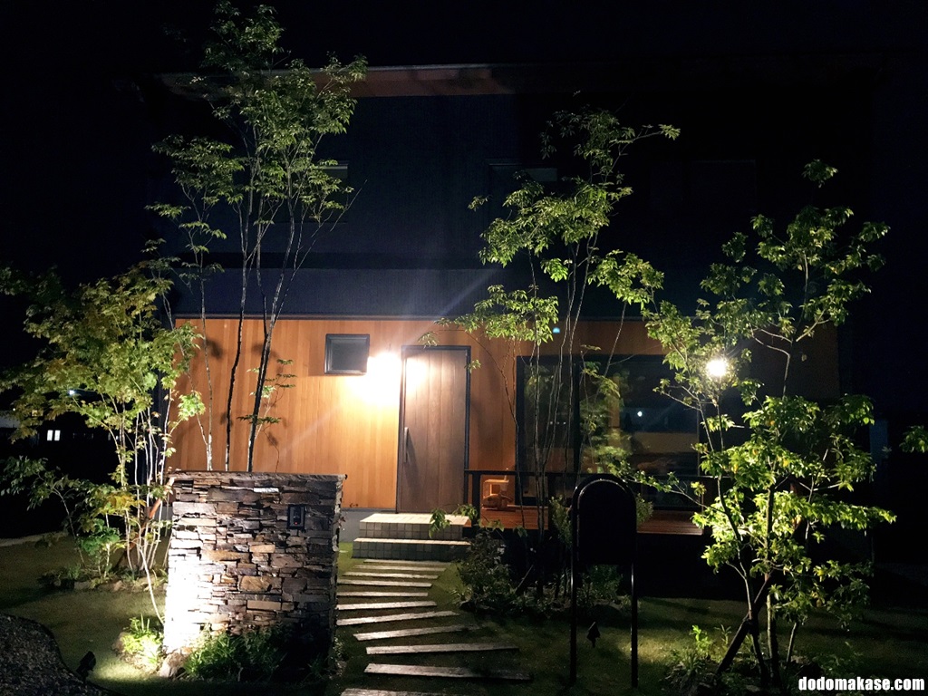 我が家の植栽 連日の雨 でも 夜のライトアップはレイニーデイズが断然綺麗 Dodomakase Life
